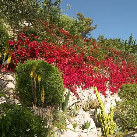 Casa Orrico - Blue Grotto - 3*
