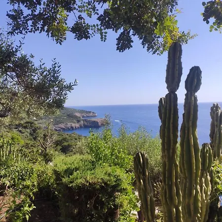Casa Orrico - Blue Grotto - 3* Anacapri (Isola di Capri)