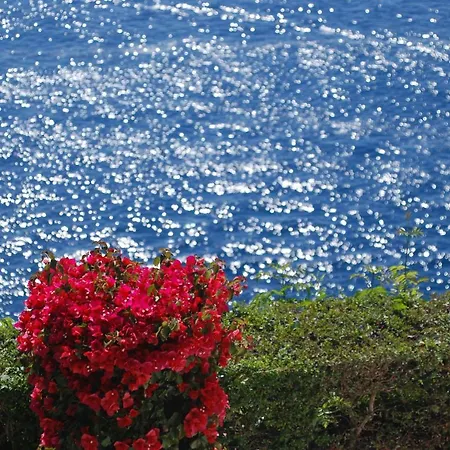 Casa Orrico - Blue Grotto - Anacapri (Isola di Capri)