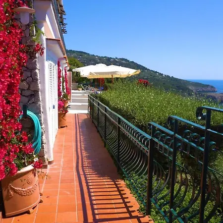 Casa Orrico - Blue Grotto - 3* Anacapri (Isola di Capri)