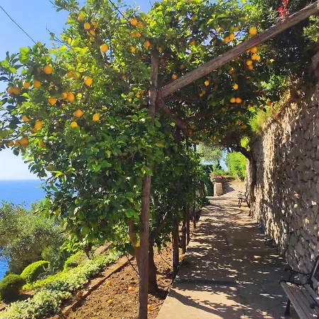 Casa Orrico - Blue Grotto - 3* Anacapri (Isola di Capri)