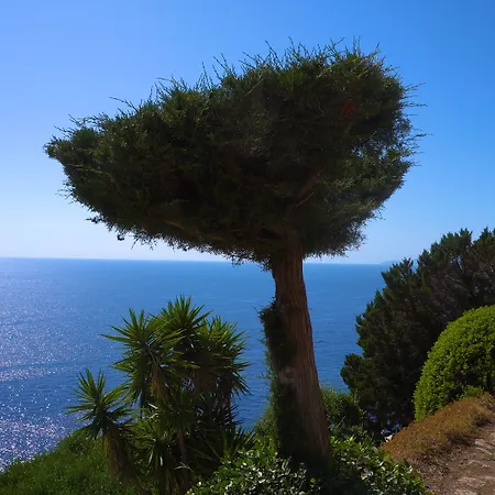 Gasthof Casa Orrico - Blue Grotto -