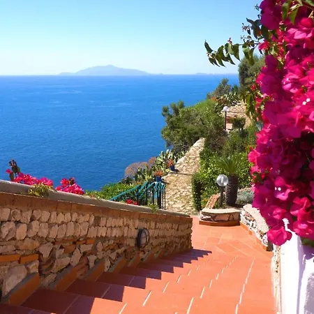 Casa Orrico - Blue Grotto - 3* Anacapri (Isola di Capri)